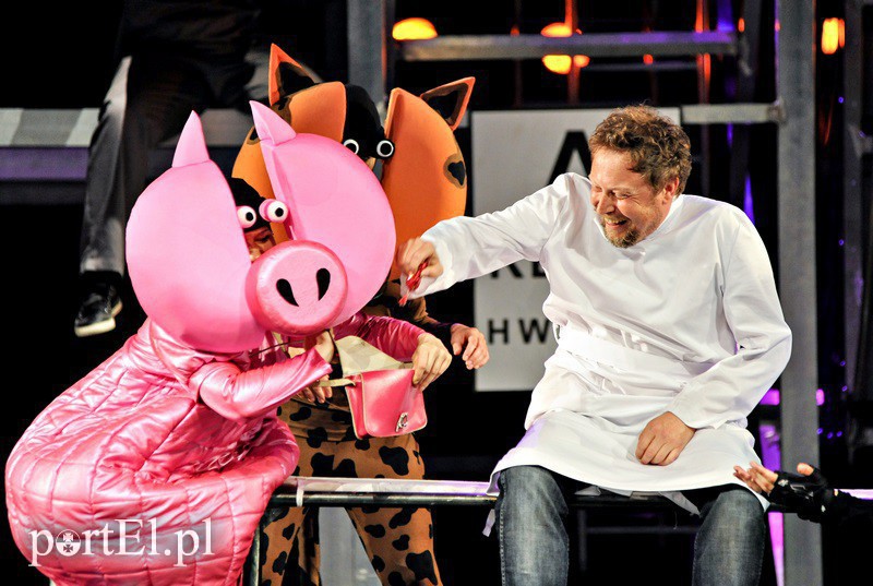 Elbląg, Świnka Geb - Geb i Doktor Dolittle Elbląg, Świnka Geb - Geb i Doktor Dolittle