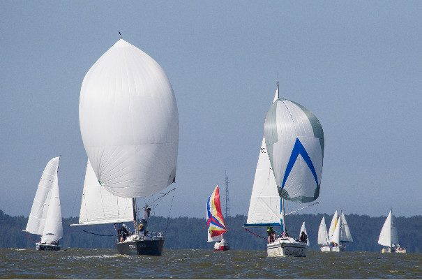 Elbląg, Żeglarskie święto Tolkmicka Elbląg, Żeglarskie święto Tolkmicka