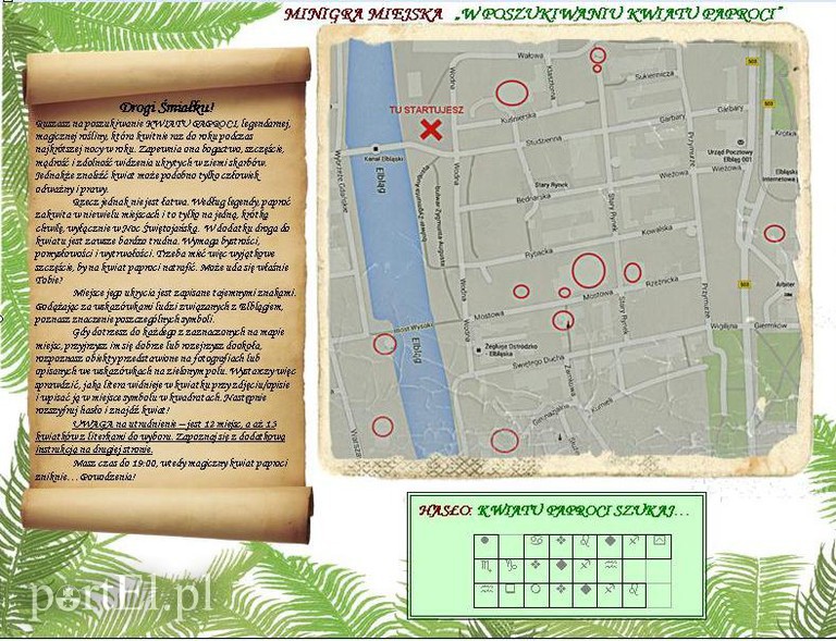 Elbląg, Znajdź kwiat paproci