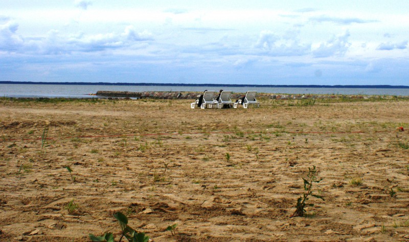 Elbląg, Sztuka na łonie natury