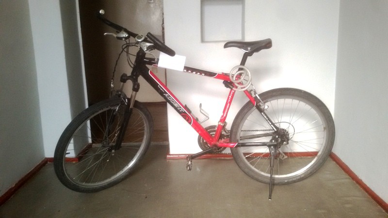 Elbląg, Uciekł z ośrodka wychowawczego i ukradł rower