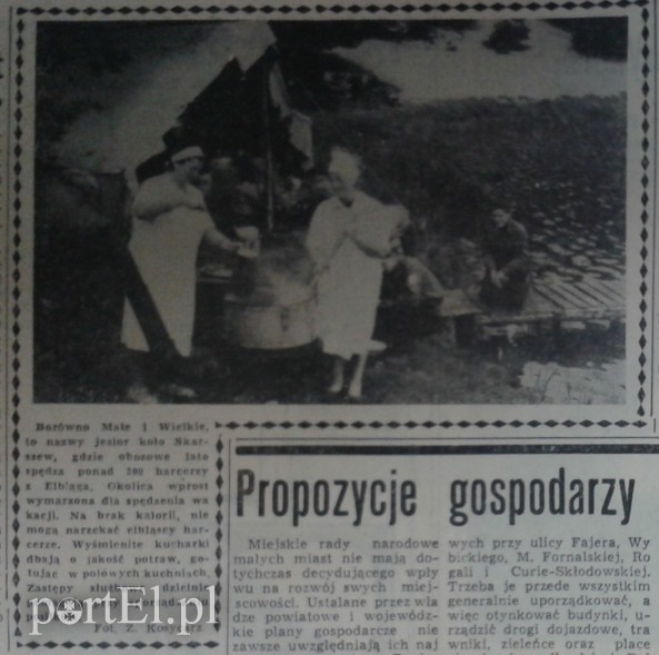 Elbląg, Elbląscy harcerze