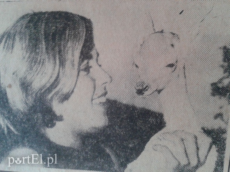 Elbląg, "Hotel" dla zwierząt