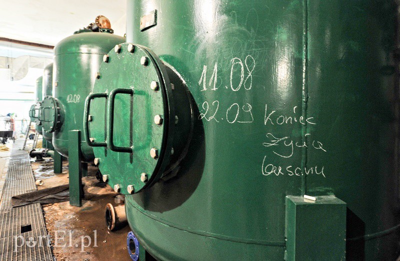 Elbląg, Cztery centymetry do pełni szczęścia na basenie