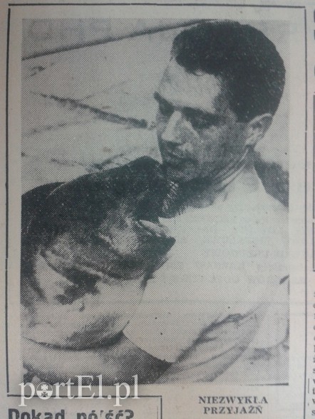 Elbląg, Niezwykła przyjaźń