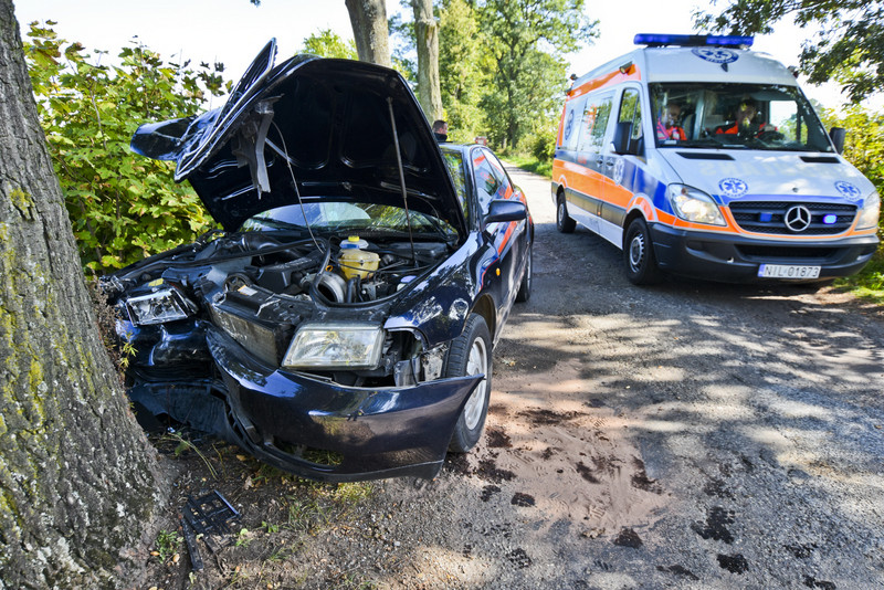Elbląg, 19-latka w audi uderzyła w drzewo