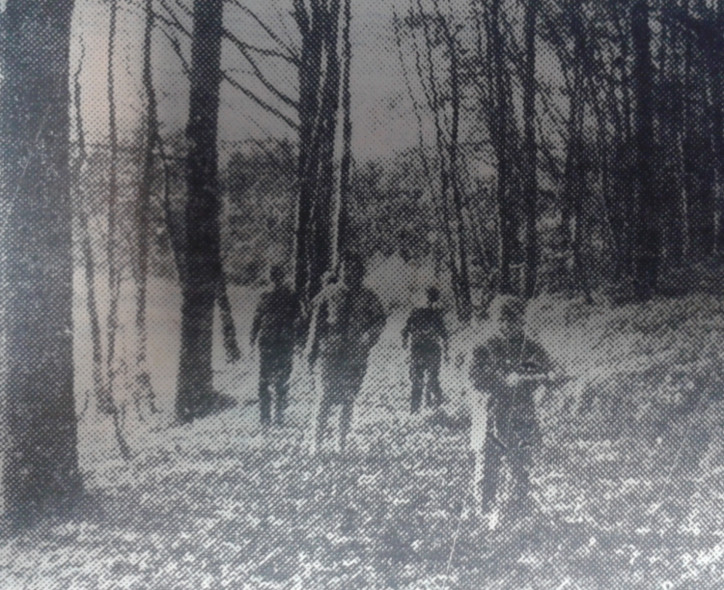 Elbląg, Jesienne spacery