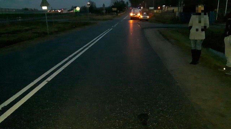 Elbląg, Wjechał w grupę pieszych