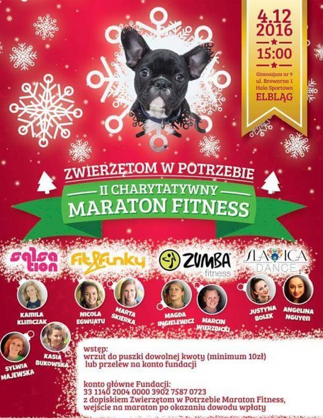 Elbląg, Weekendowy Bieg i Maraton Fitness – Zwierzakom w Potrzebie