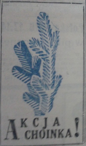 Elbląg, Choinki, choinki...