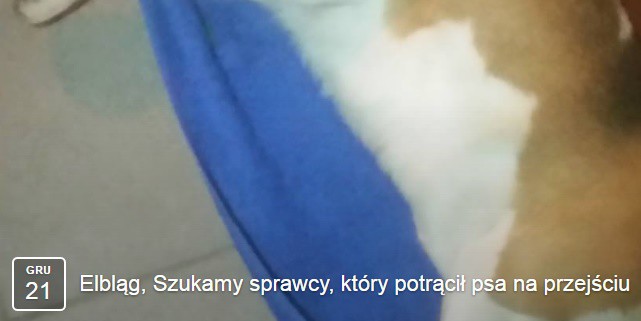 Elbląg, Kto potrącił Lulę?