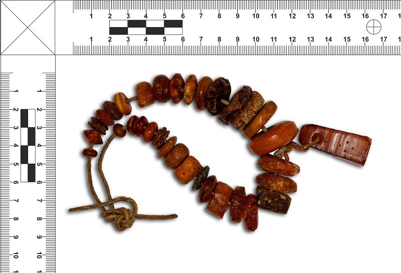 Elbląg, Zobacz je z bliska