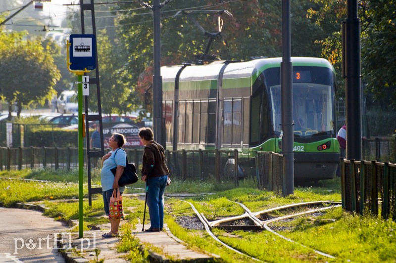 Elbląg, Komunikacyjny savoir-vivre