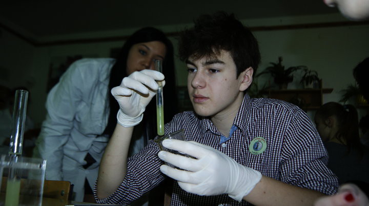 Elbląg, Jubileuszowa edycja Festiwalu Nauki