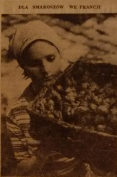 Elbląg, Dla smakoszów we Francji