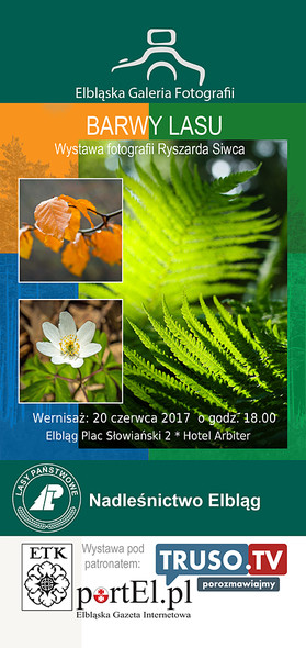 Elbląg, Barwy Lasu w obiektywie Ryszarda Siwca