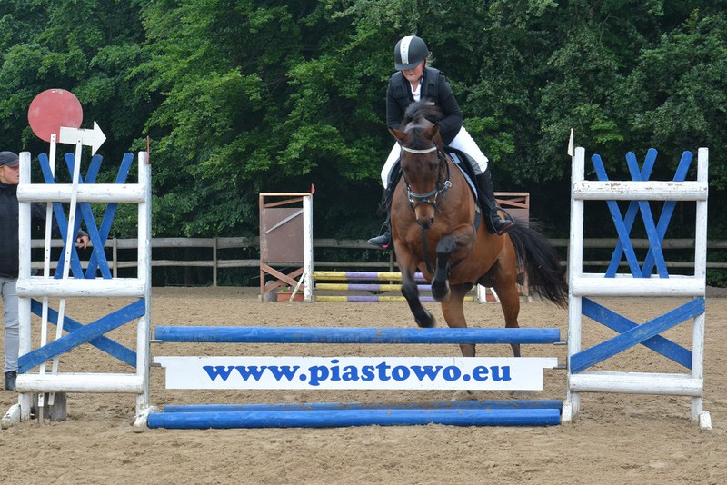 Elbląg, Jeździeckie emocje w Piastowie