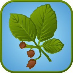 Elbląg, Kraina buka, w ekranik stukaj!