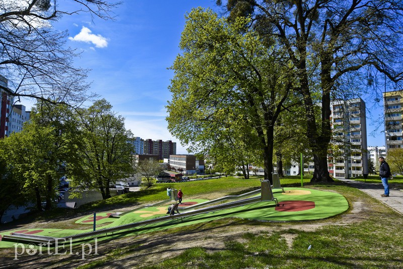 Elbląg, Rodzina Ulmów zamiast Nalazków?
