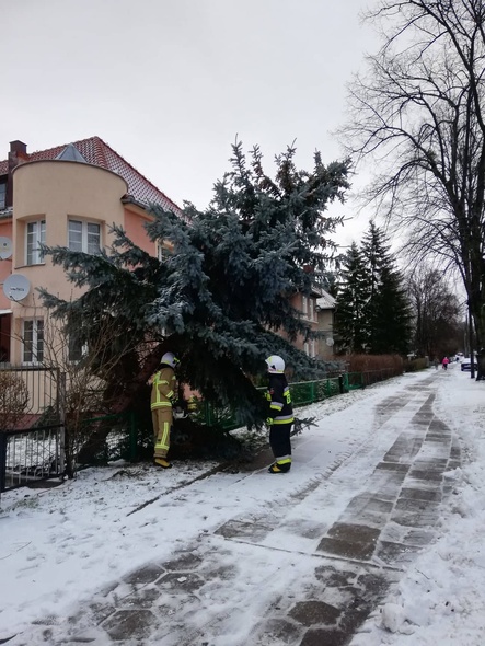 Elbląg, Strażacy z Krzewska przy pracy