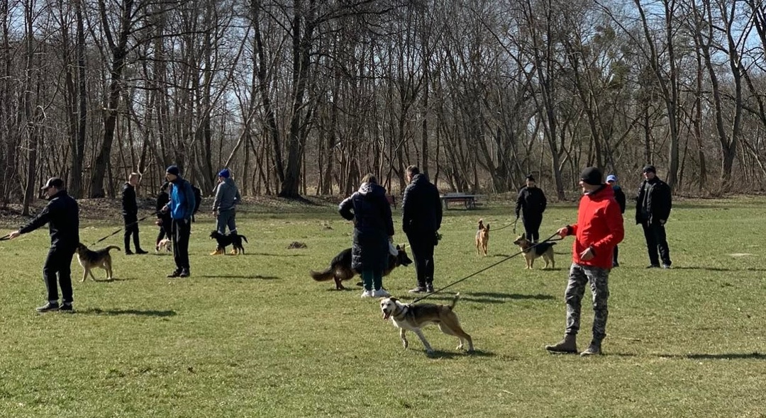 Elbląg, Powrócił „Bieg na 6 Łap”