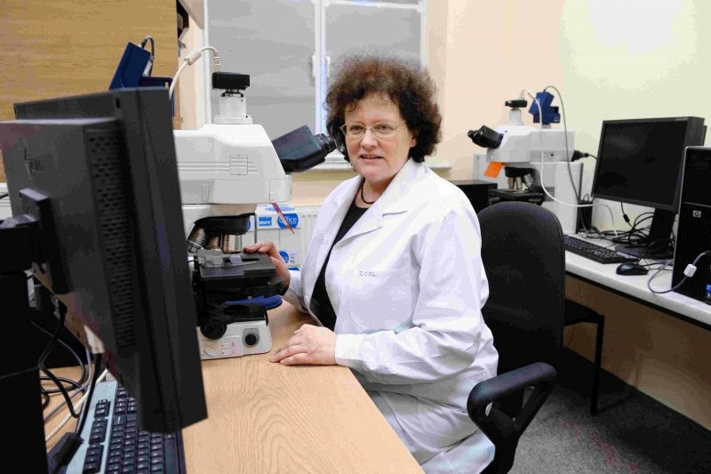 Elbląg, prof. dr hab. Alicja Boroń, uwm.edu.pl Elbląg, prof. dr hab. Alicja Boroń, uwm.edu.pl