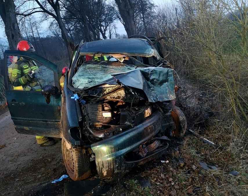 Elbląg, Jechał bez uprawnień, uderzył w drzewo (aktualizacja) Elbląg, Jechał bez uprawnień, uderzył w drzewo (aktualizacja)