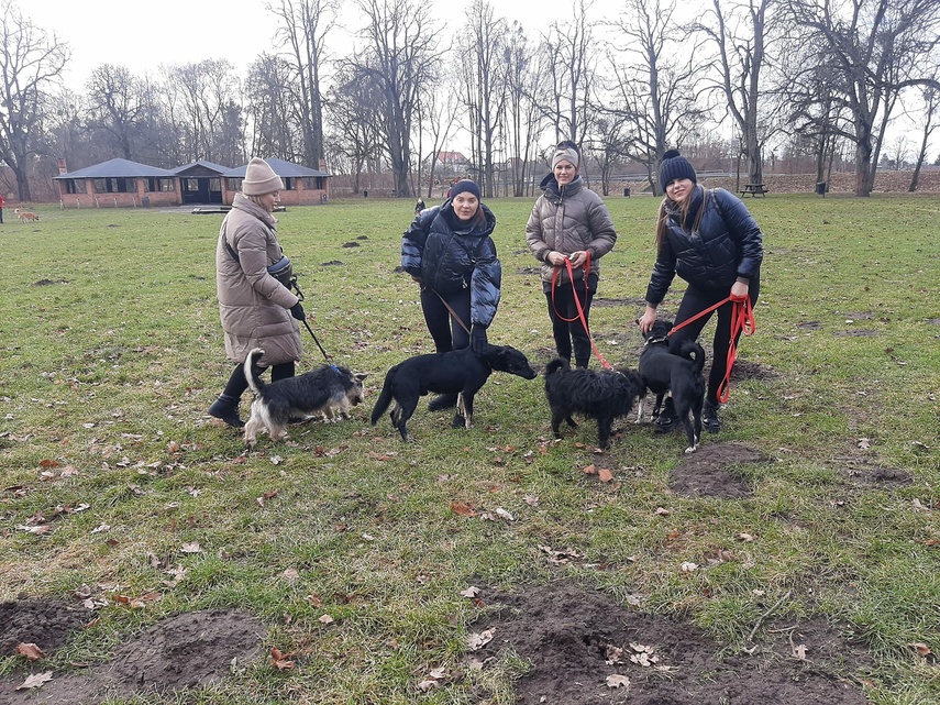 Elbląg, Marzec na 6 łap Elbląg, Marzec na 6 łap