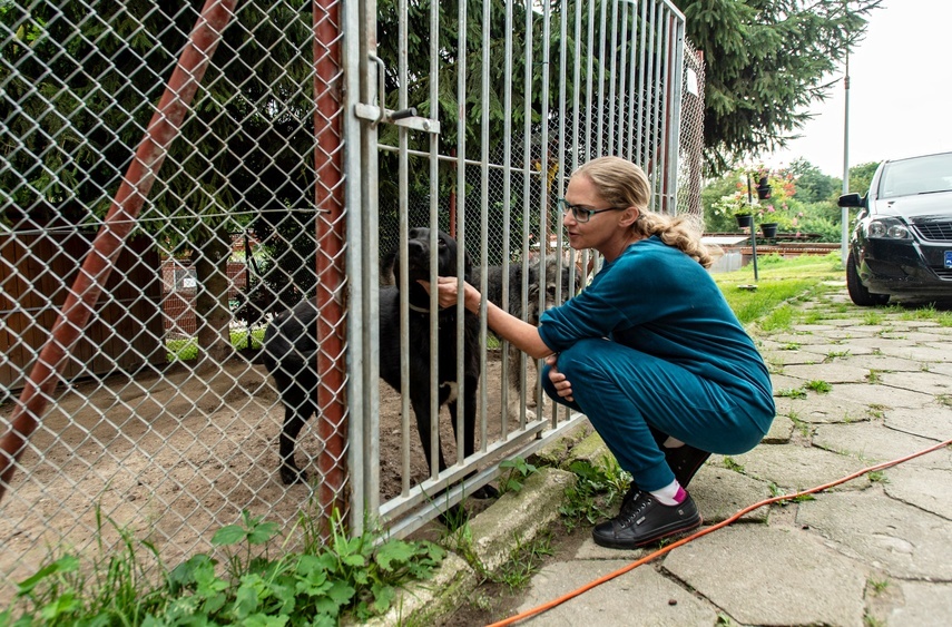 Elbląg, Agnieszka Wierzbicka,