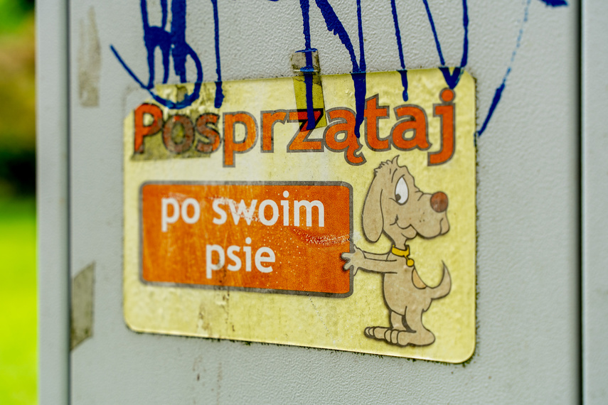 Elbląg, Psi obowiązek