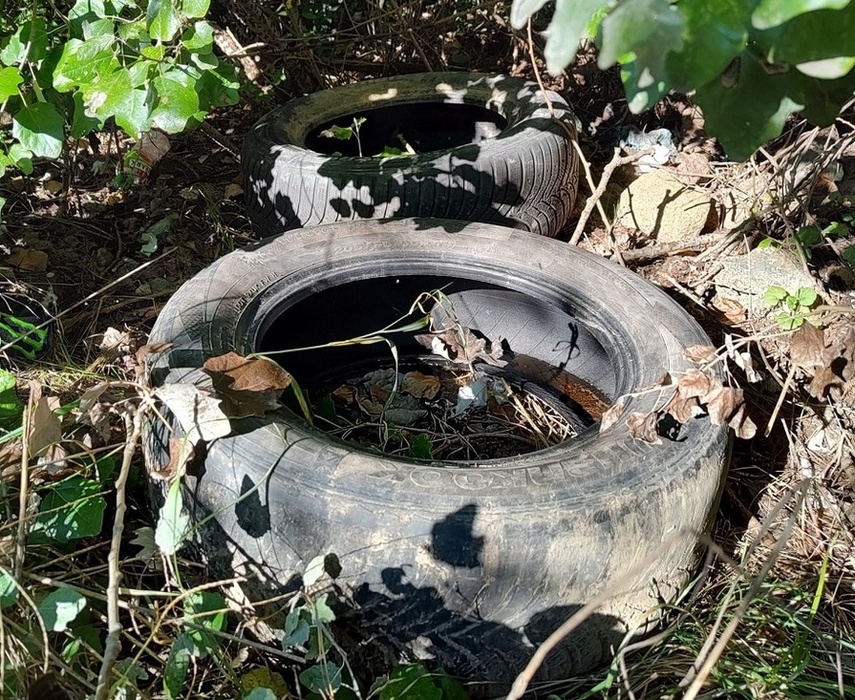 Elbląg, Oponując przeciw oponom (na śmietniku i nie tylko)