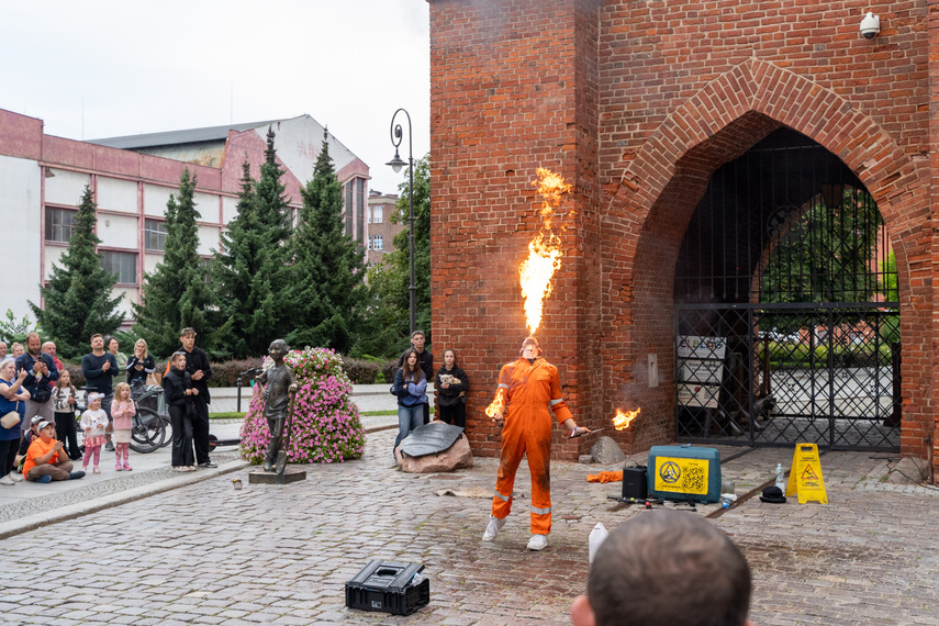 Elbląg, Pokazy podczas Elbląskiego Święta Chleba 2024.