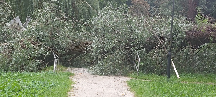 Elbląg, Czytelniczka: O włos od tragedii Elbląg, Czytelniczka: O włos od tragedii