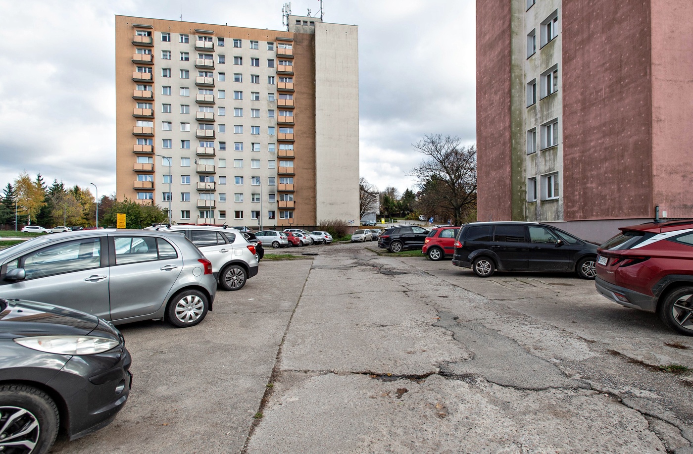 Elbląg, Remont u naczelnika i noblisty