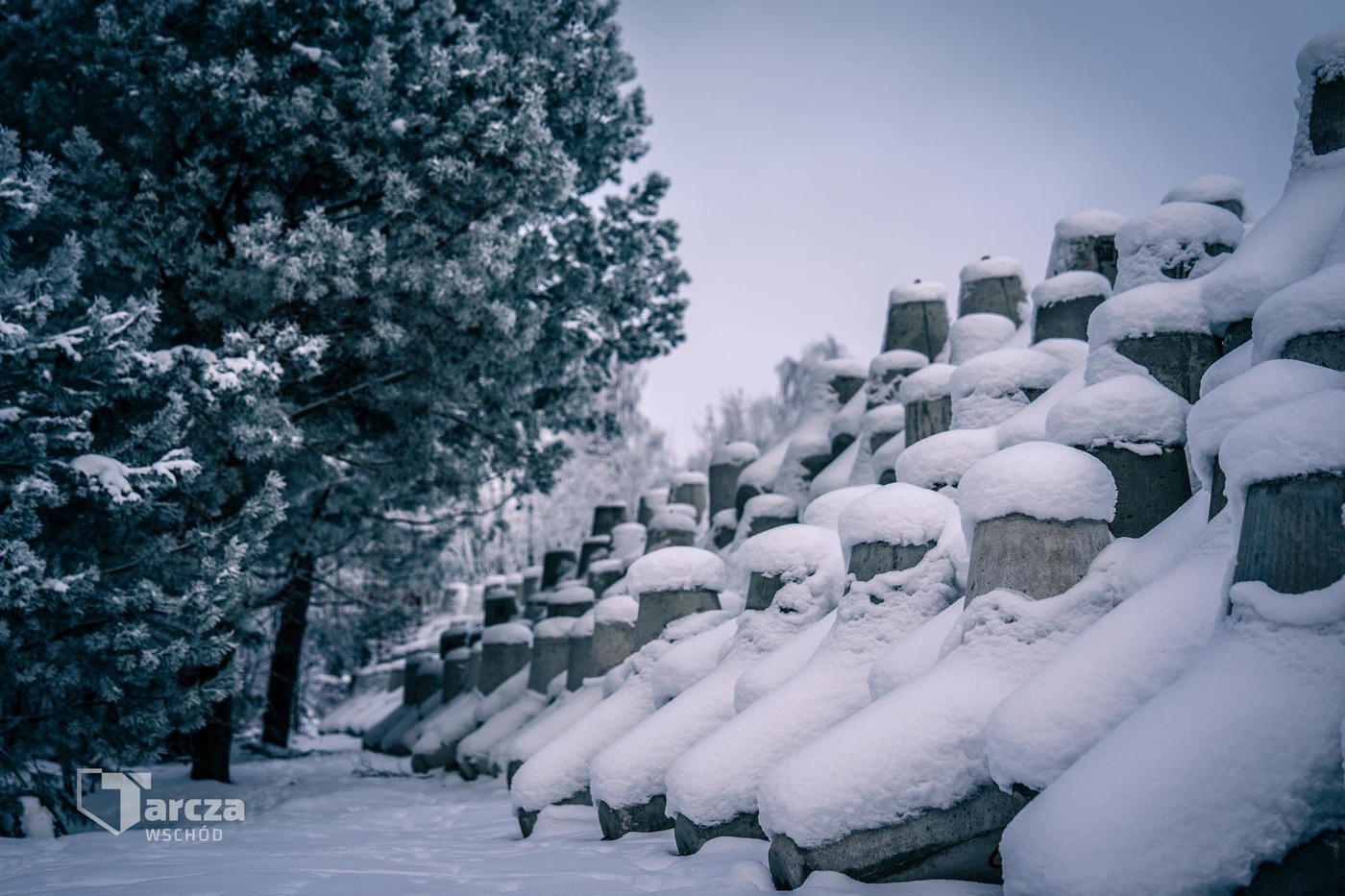 Elbląg, Tarcza Wschód,