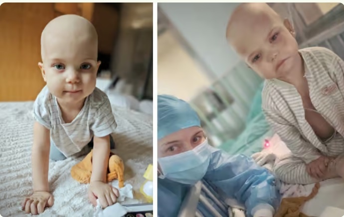 Elbląg, Leo wymaga dalszego leczenia