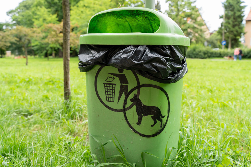 Elbląg, Śnieg stopniał, wstyd pozostał (napisali do nas)