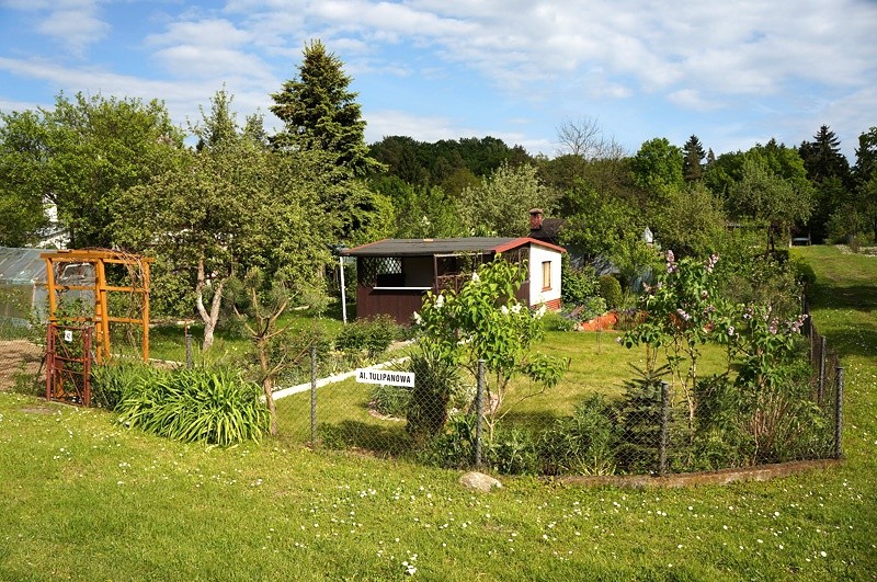 Elbląg, Na działkach robi się gorąco. Przyczyną nowe przepisy