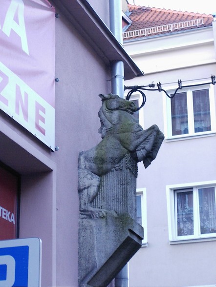 Elbląg, Rzeźba konia  autorstwa elbląskiej rzeźbiarki Erny Becker-Kahns na rogu ul. 1 Maja - Szpitalna