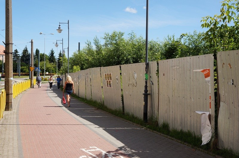 Elbląg, Drzewa i chaszcze już po raz kolejny przerosły płot, który otacza działkę