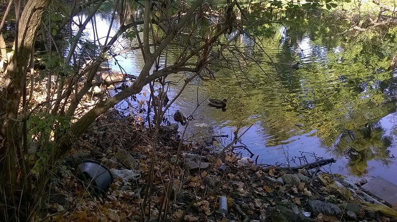 Nad stawem nadal leży pełno śmieci, m.in. butelek