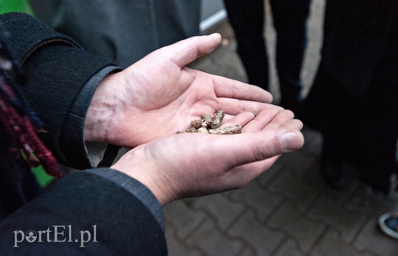 Elbląg, Te niepozorne wałeczki robią prawdziwą furorę w krajach wysoko rozwiniętych. Peletem ogrzewają się Duńczycy, Szwajcarzy czy Austriacy Elbląg, Te niepozorne wałeczki robią prawdziwą furorę w krajach wysoko rozwiniętych. Peletem ogrzewają się Duńczycy, Szwajcarzy czy Austriacy