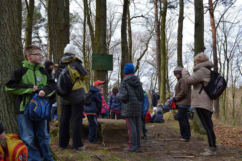 Elbląg, Młodzi turyści na terenie danego grodziska przed głazem Roberta  Dorra