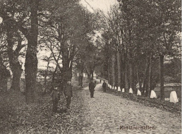 Elbląg, Historia okolic Elbląga: Godkowo i Piele  (odc. 62)