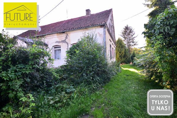 Elbląg FUTURE NIERUCHOMOŚCISprzedam dom - Drużno. PÓŁ DOMU BLISKO KANAŁU ELBLĄSKIEGO!POWIERZCHNIA UŻYTKOWA DOMU: