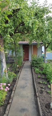 Elbląg SPRZEDAM DZIAŁKĘ ROD ŻWIRKI I WIGURY&nbsp; UL. SKRZYDLATA&nbsp; Powierzchnia 344 m2,działka ogrodzona, prąd