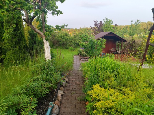 Elbląg Odstąpię prawo dzierżawy działki ROD IM. MONIUSZKI w Elblągu