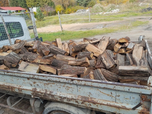 Elbląg SPRZEDAM DĄB NA OPAŁ