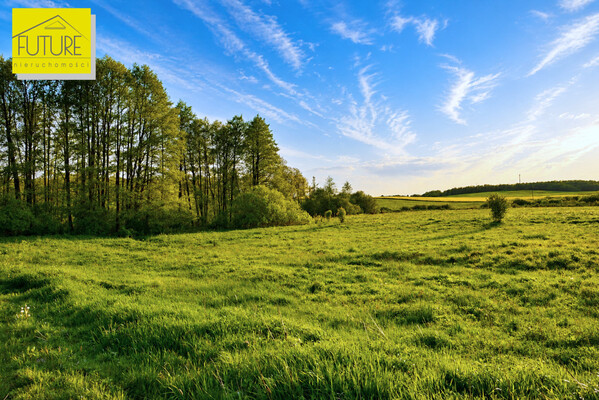 Elbląg FUTURE NIERUCHOMOŚCISprzedam działkę - Liksajny. PIĘKNIE POŁOŻONA DZIAŁKA, BLISKO JEZIORA RUDA WODA Z