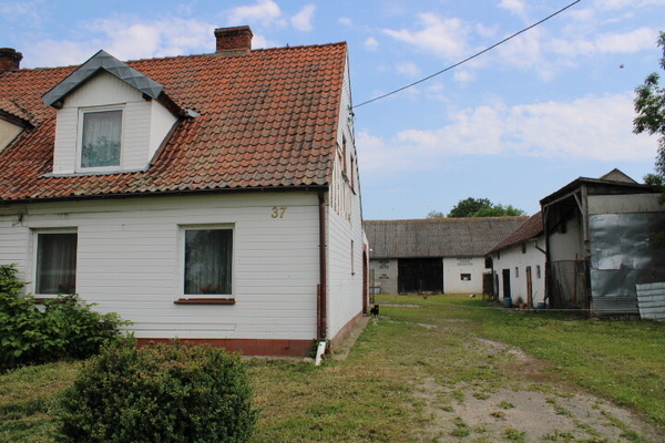 Elbląg Siedlisko na sprzedaż – Nowe Dolno, powiat elbląski
